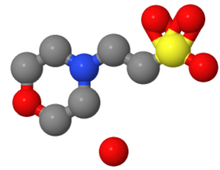 MES monohydrate（CAS145224-94-8)